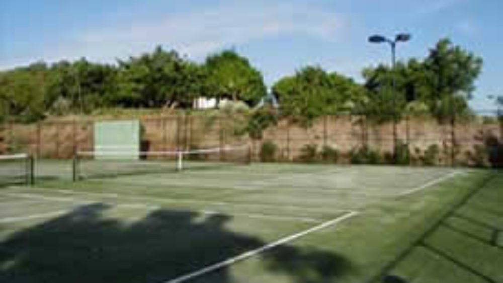 Artificial Grass Courts