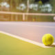 Tennis Court Accessories