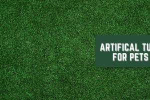 Is Installing Artificial Turf Better for Pets?